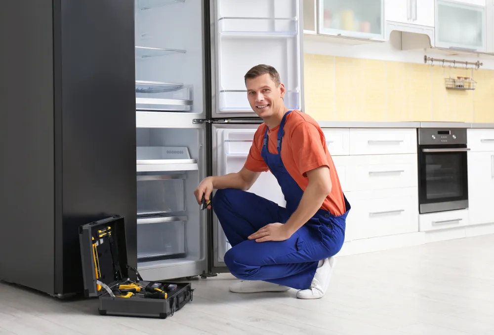 Kınık Termoteknik buzdolabı servisi teknisyen